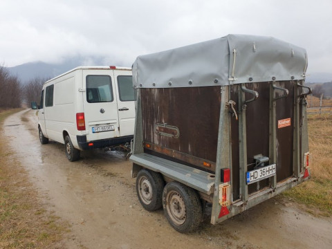 Transport animale